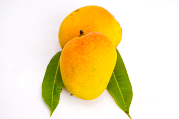 Mangoes-website-Alphanso