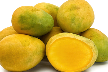 Mangoes-website-Jawari