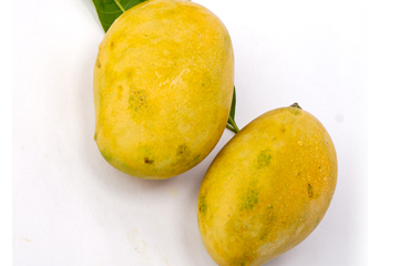 Mangoes-website-Mallika