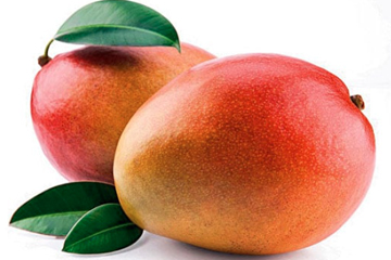 Mangoes-website-Neelam