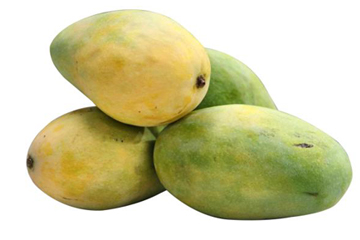 Mangoes-website-Pedda Rasalu