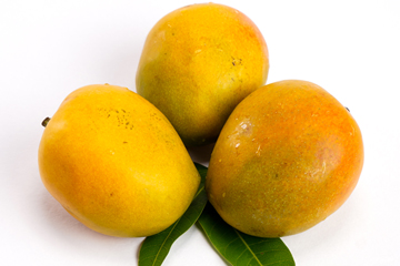 Mangoes-website-Pethar