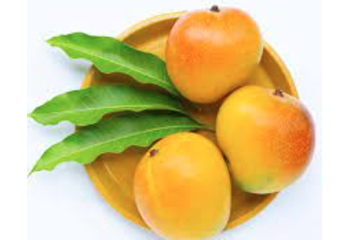 Mangoes-website-Rumani