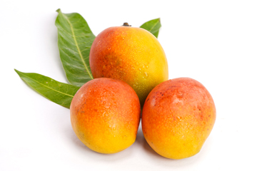 Mangoes-website-Senthoora