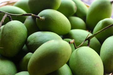 Mangoes-website-Vadu Mango