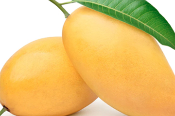 Mangoes-website-kesar