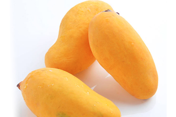 Mangoes-website-langra